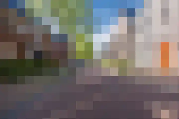 Peellandstraat 18 Veghel thumbnail 4