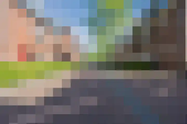 Peellandstraat 18 Veghel thumbnail 5