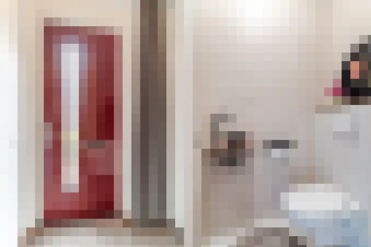 Peellandstraat 20 Veghel thumbnail 12