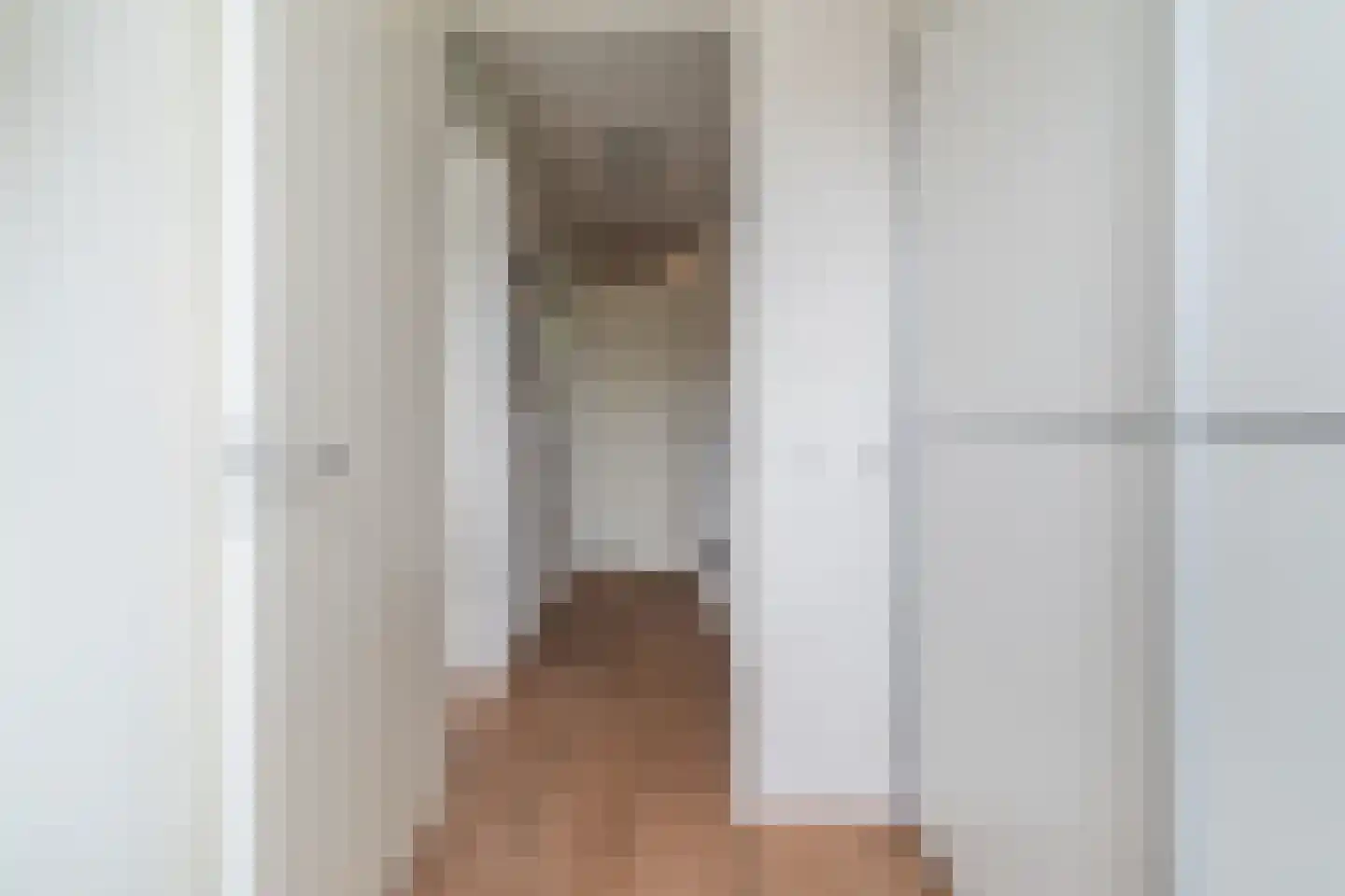 Peellandstraat 20 Veghel thumbnail 33