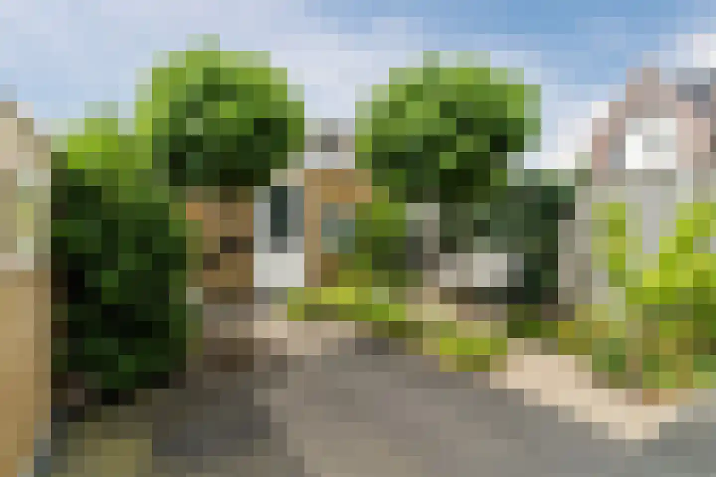 Peellandstraat 20 Veghel thumbnail 45