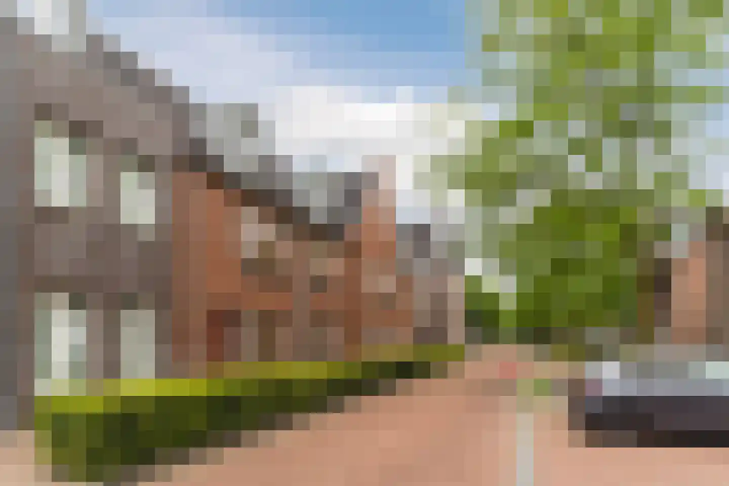Peellandstraat 20 Veghel thumbnail 5