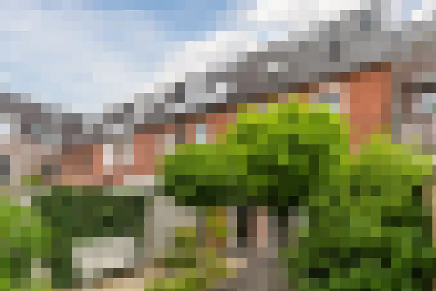 Peellandstraat 20 Veghel thumbnail 50