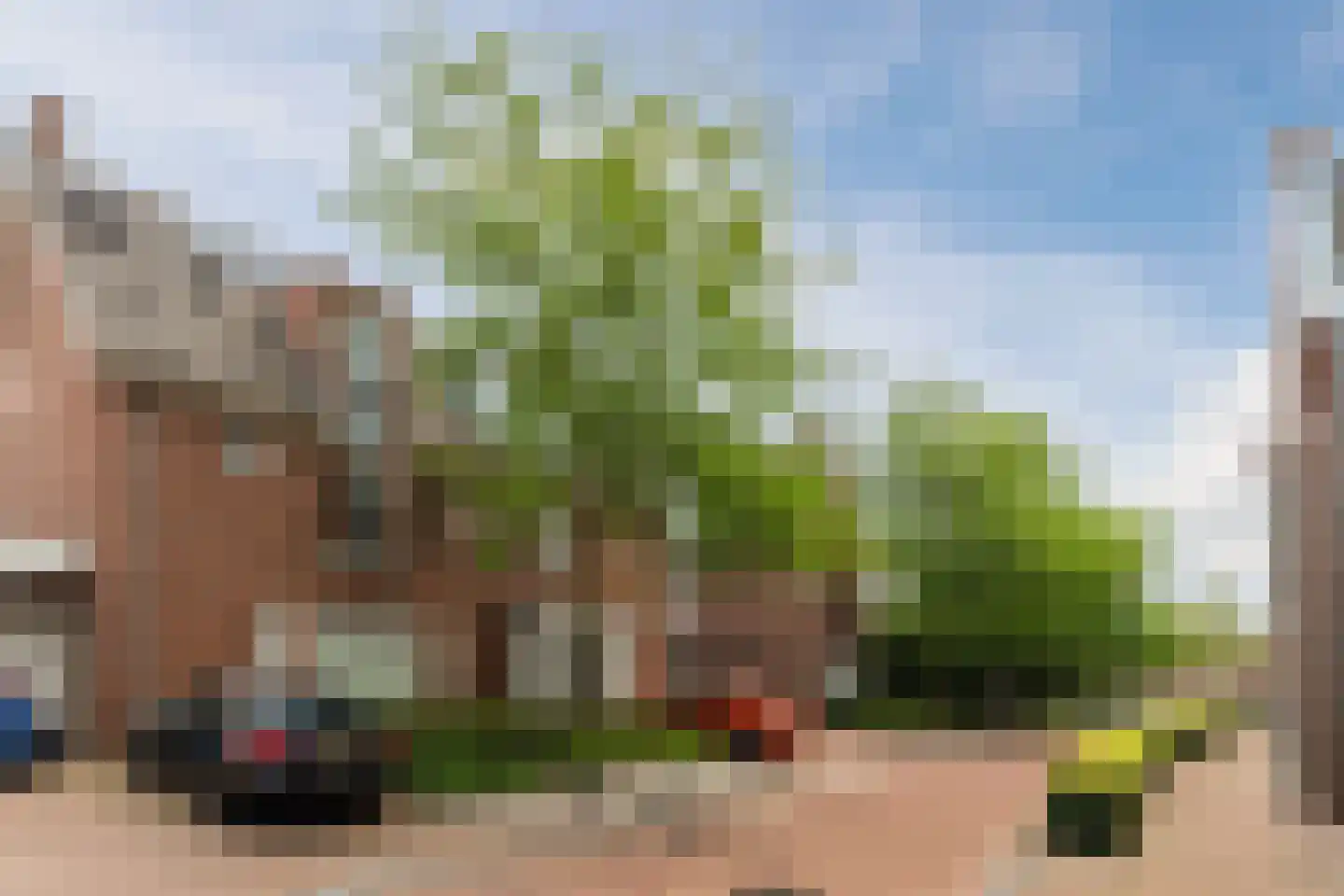 Peellandstraat 20 Veghel thumbnail 8