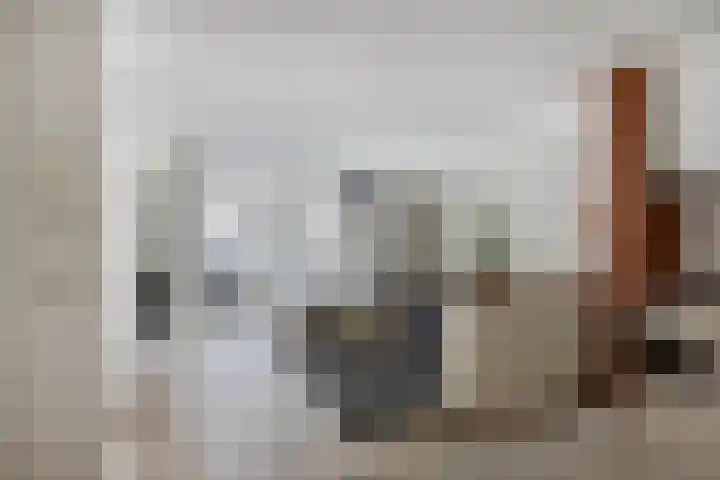 Peellandstraat 21 's-Hertogenbosch thumbnail 5