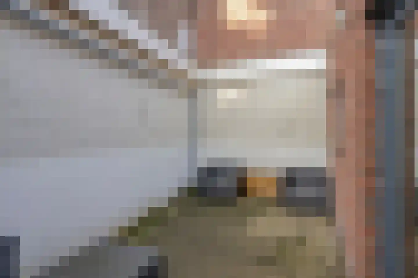 Peellandstraat 23 's-Hertogenbosch thumbnail 5