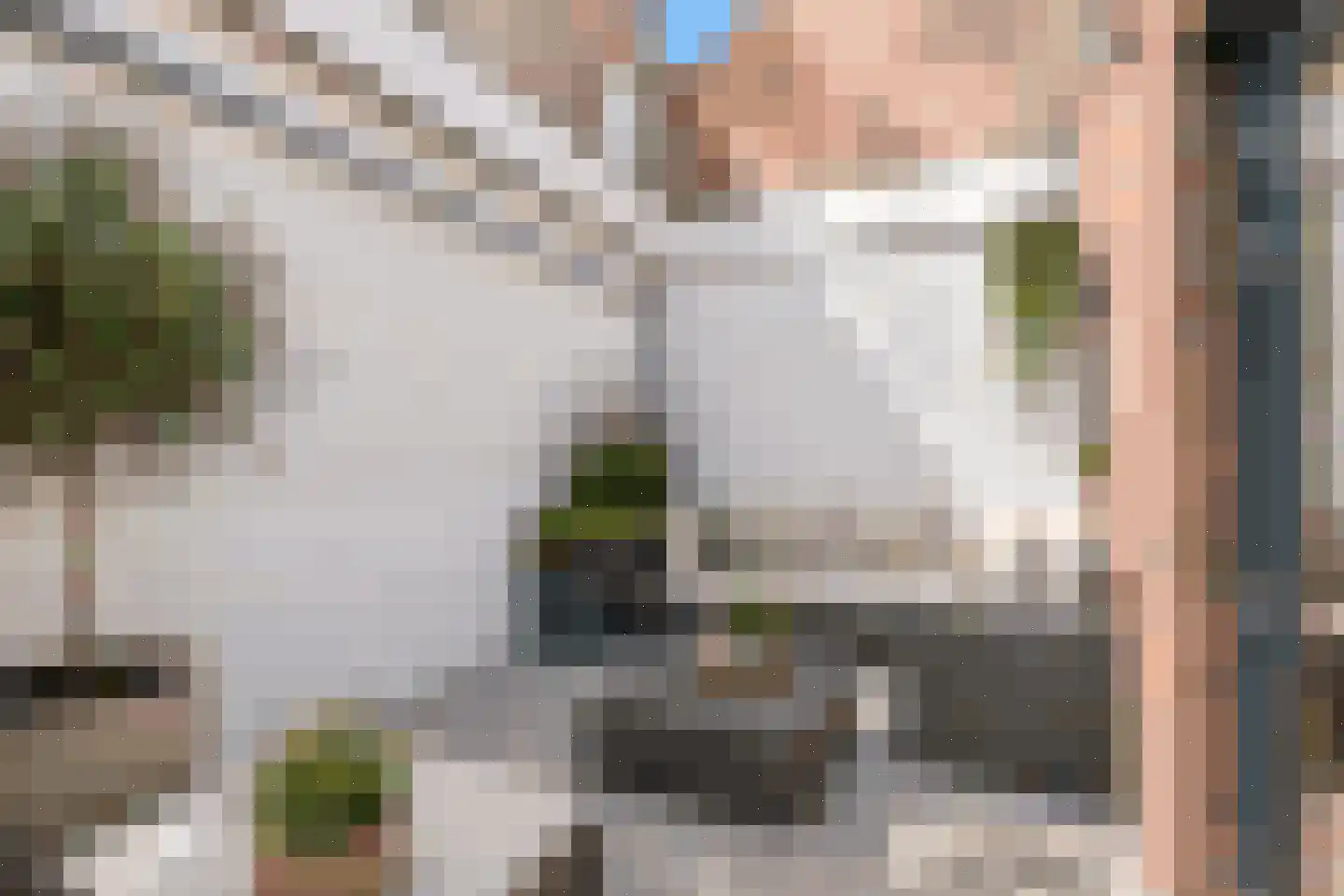 Peellandstraat 23 's-Hertogenbosch thumbnail 6