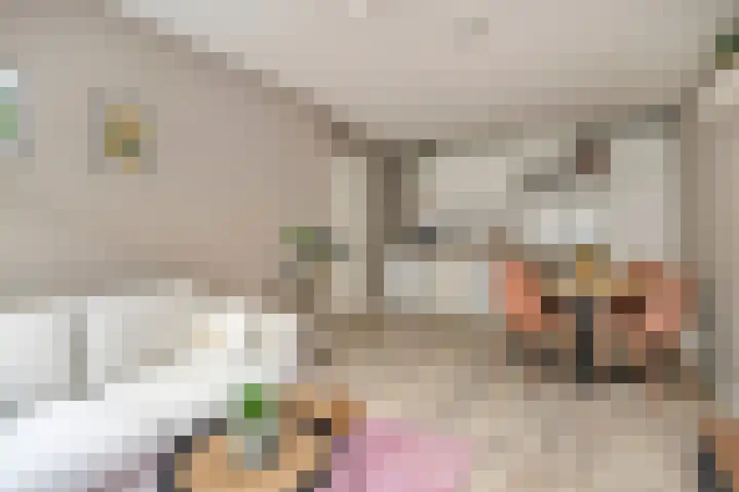 Peellandstraat 23 's-Hertogenbosch thumbnail 8