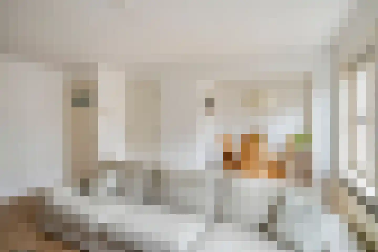 Peellandstraat 27 's-Hertogenbosch thumbnail 5