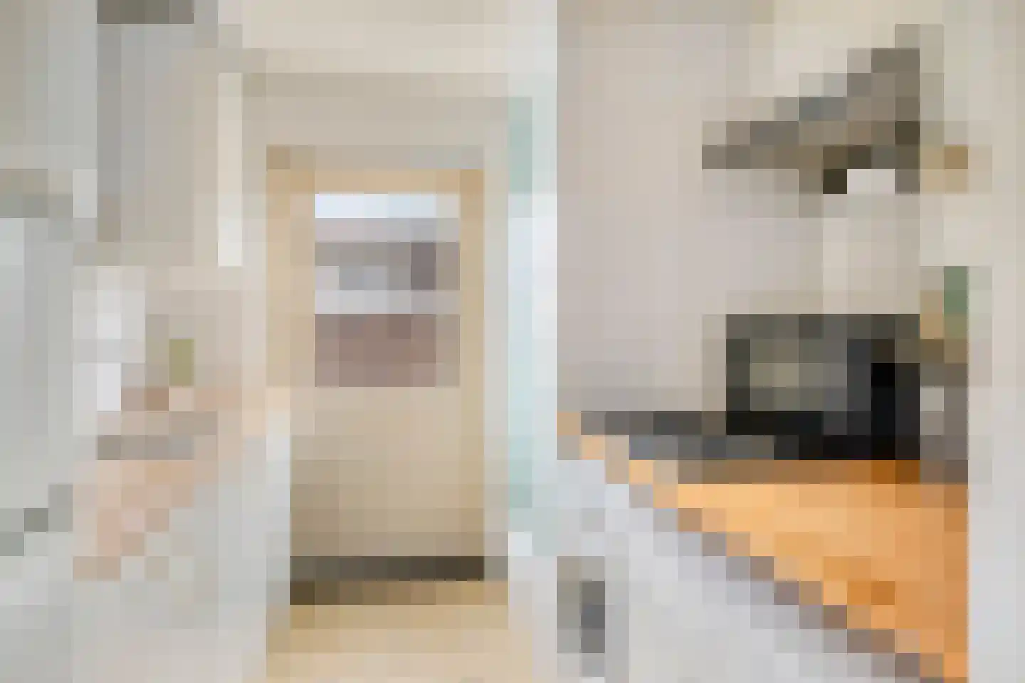 Peellandstraat 27 's-Hertogenbosch thumbnail 8