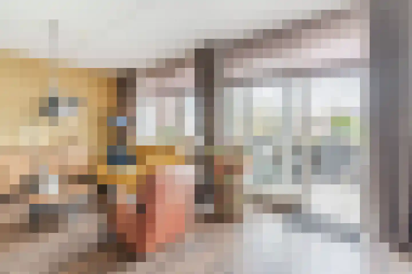 Peellandstraat 6 Veghel thumbnail 10