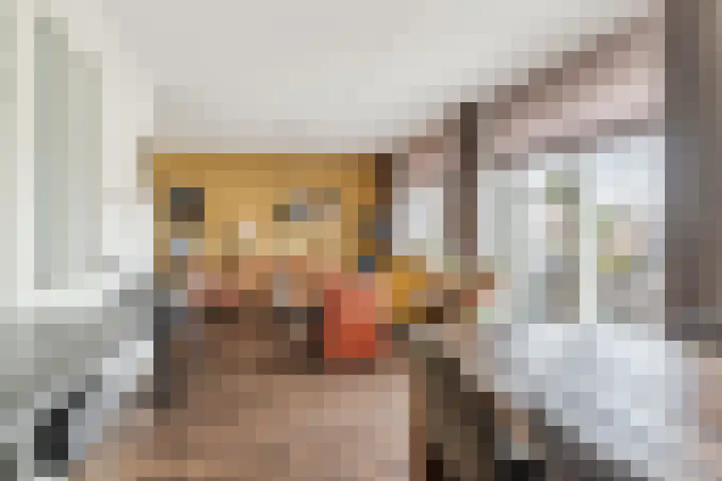 Peellandstraat 6 Veghel thumbnail 15
