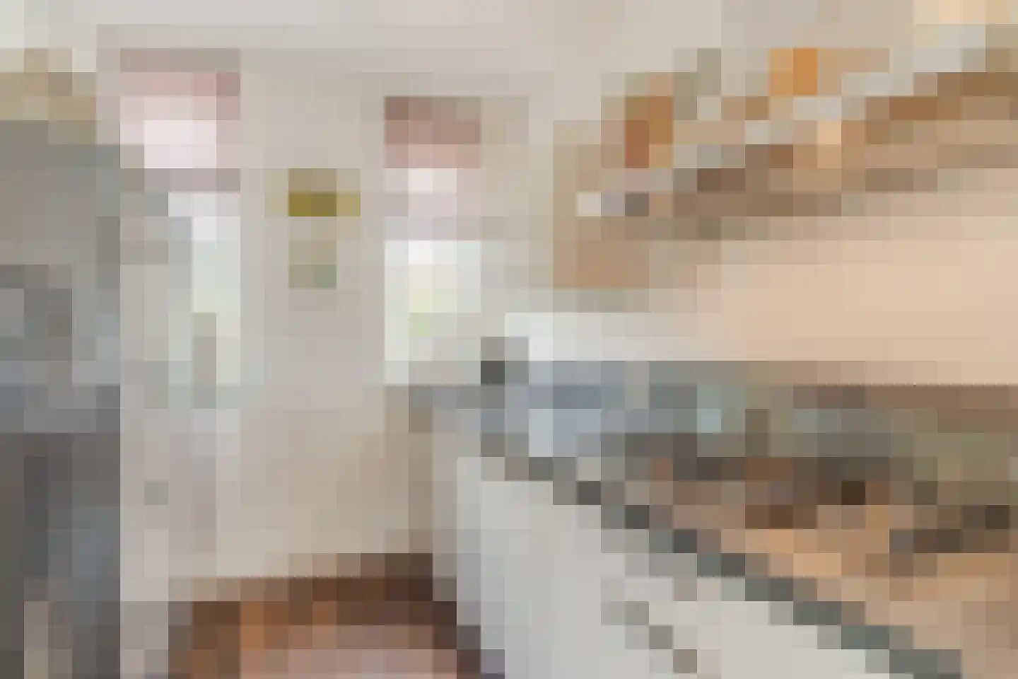 Peellandstraat 6 Veghel thumbnail 17