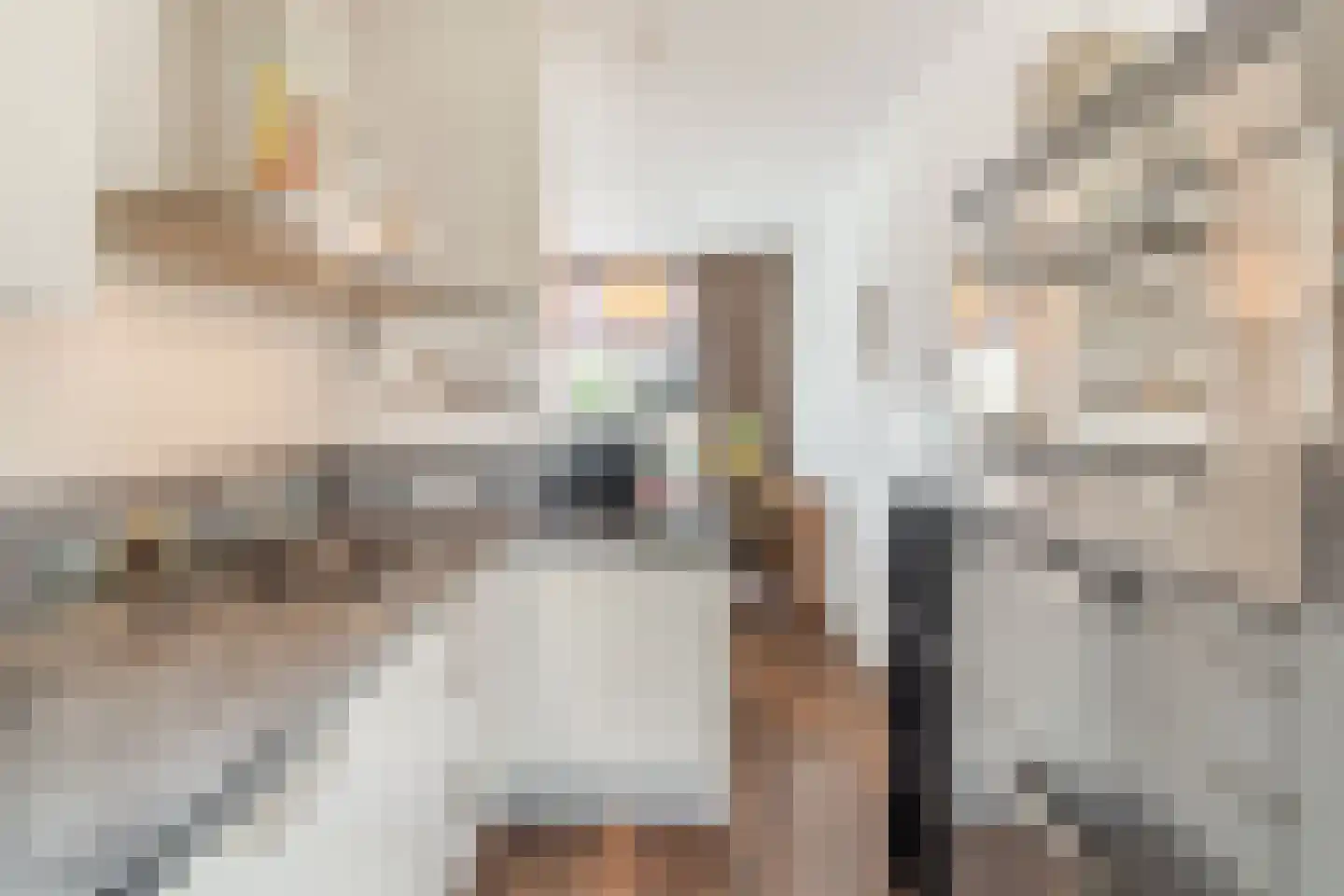 Peellandstraat 6 Veghel thumbnail 18