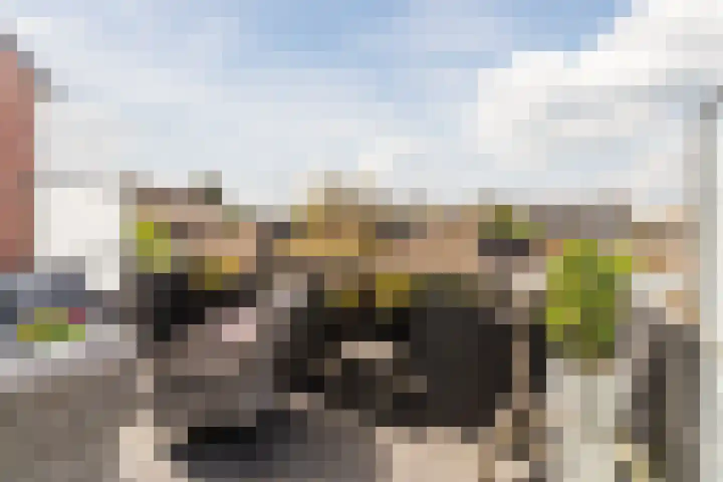 Peellandstraat 6 Veghel thumbnail 26