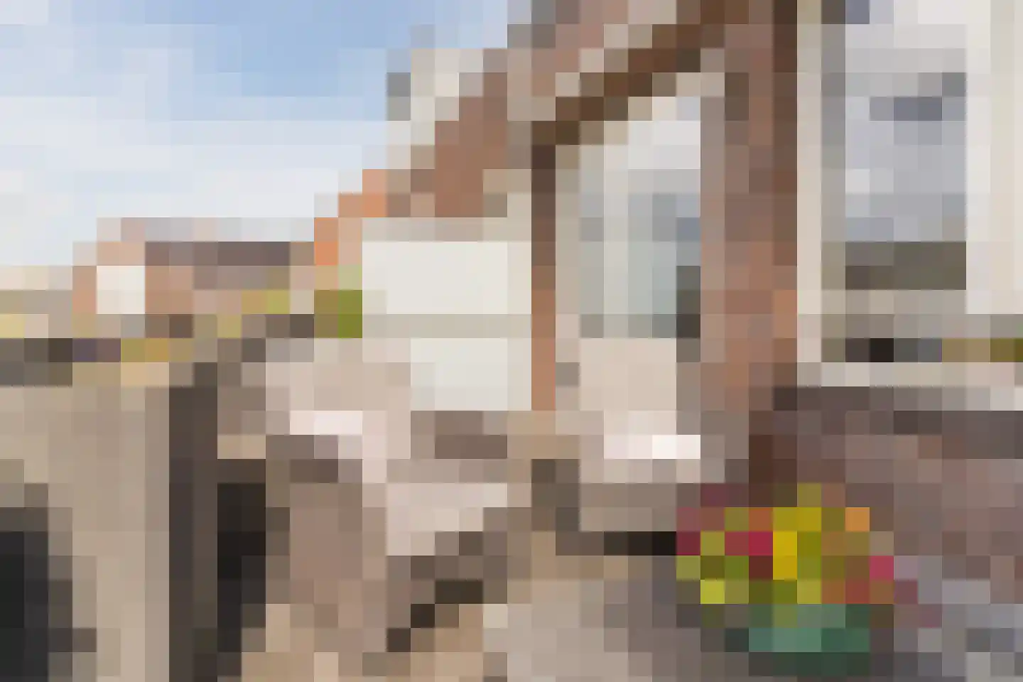 Peellandstraat 6 Veghel thumbnail 28