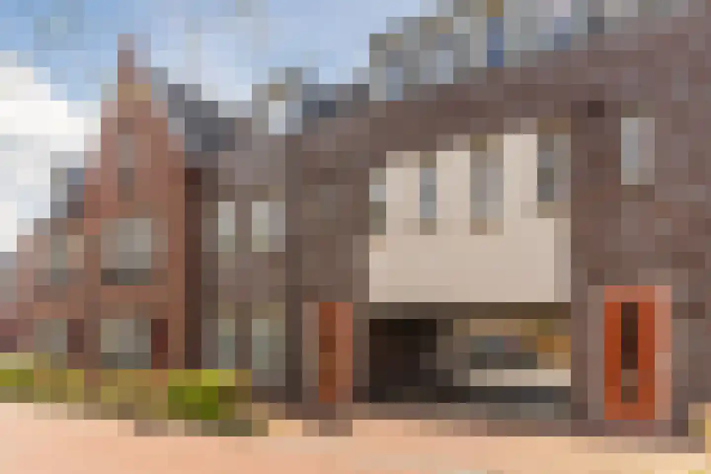 Peellandstraat 6 Veghel foto 3