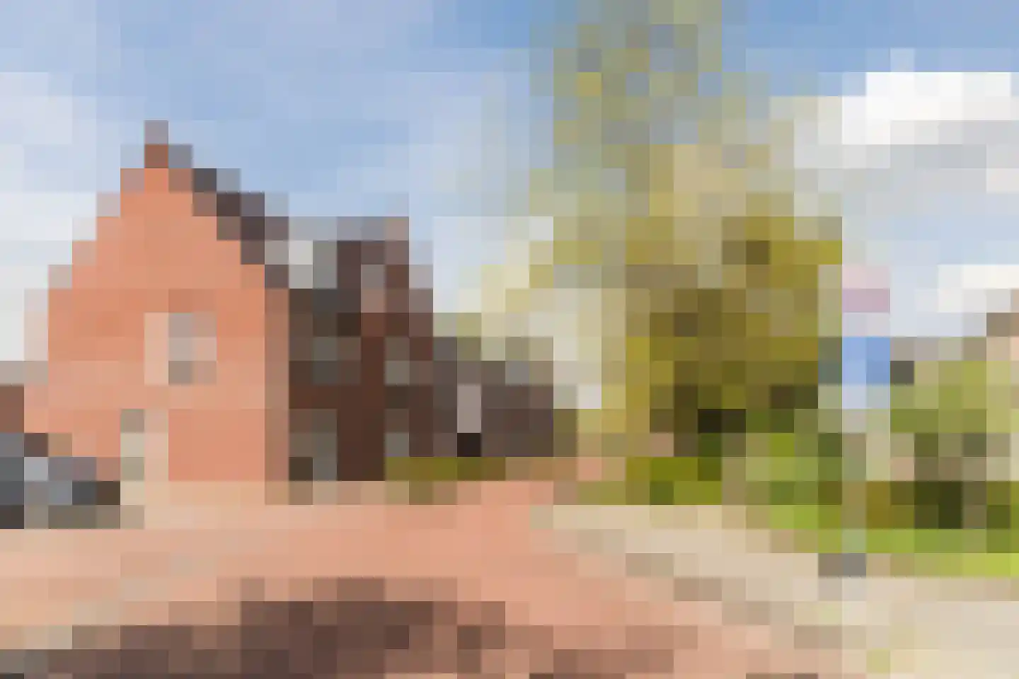 Peellandstraat 6 Veghel thumbnail 31