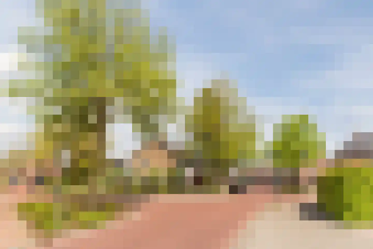 Peellandstraat 6 Veghel thumbnail 32