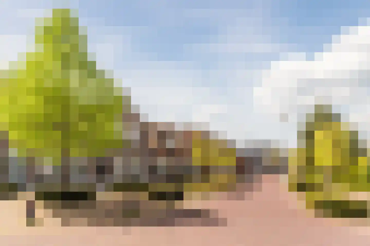 Peellandstraat 6 Veghel thumbnail 33