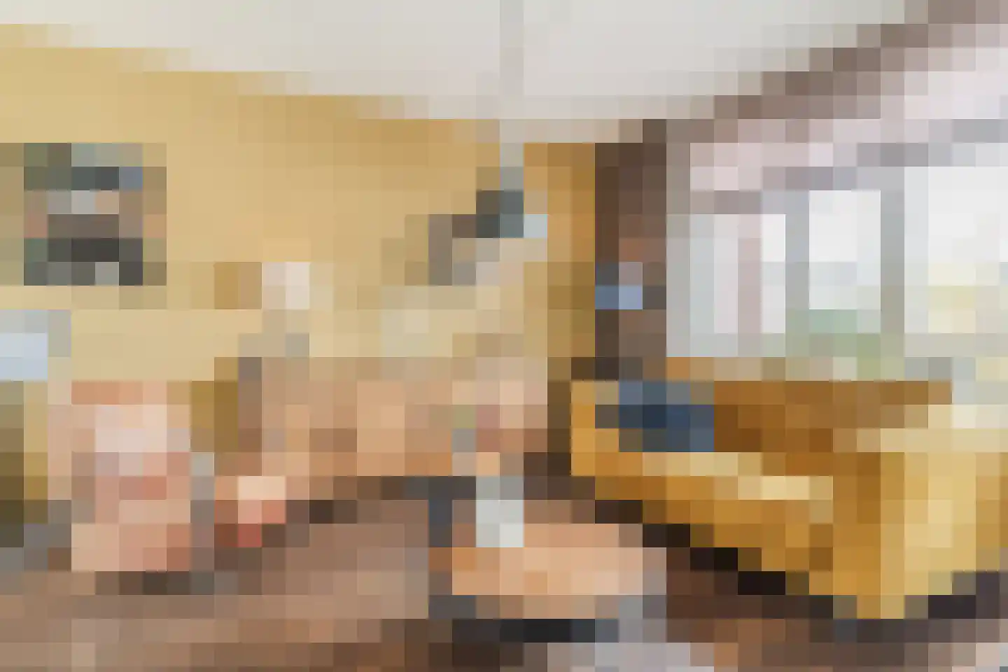 Peellandstraat 6 Veghel thumbnail 8
