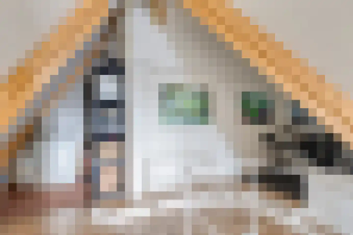 Peellandstraat 90 Veghel thumbnail 20