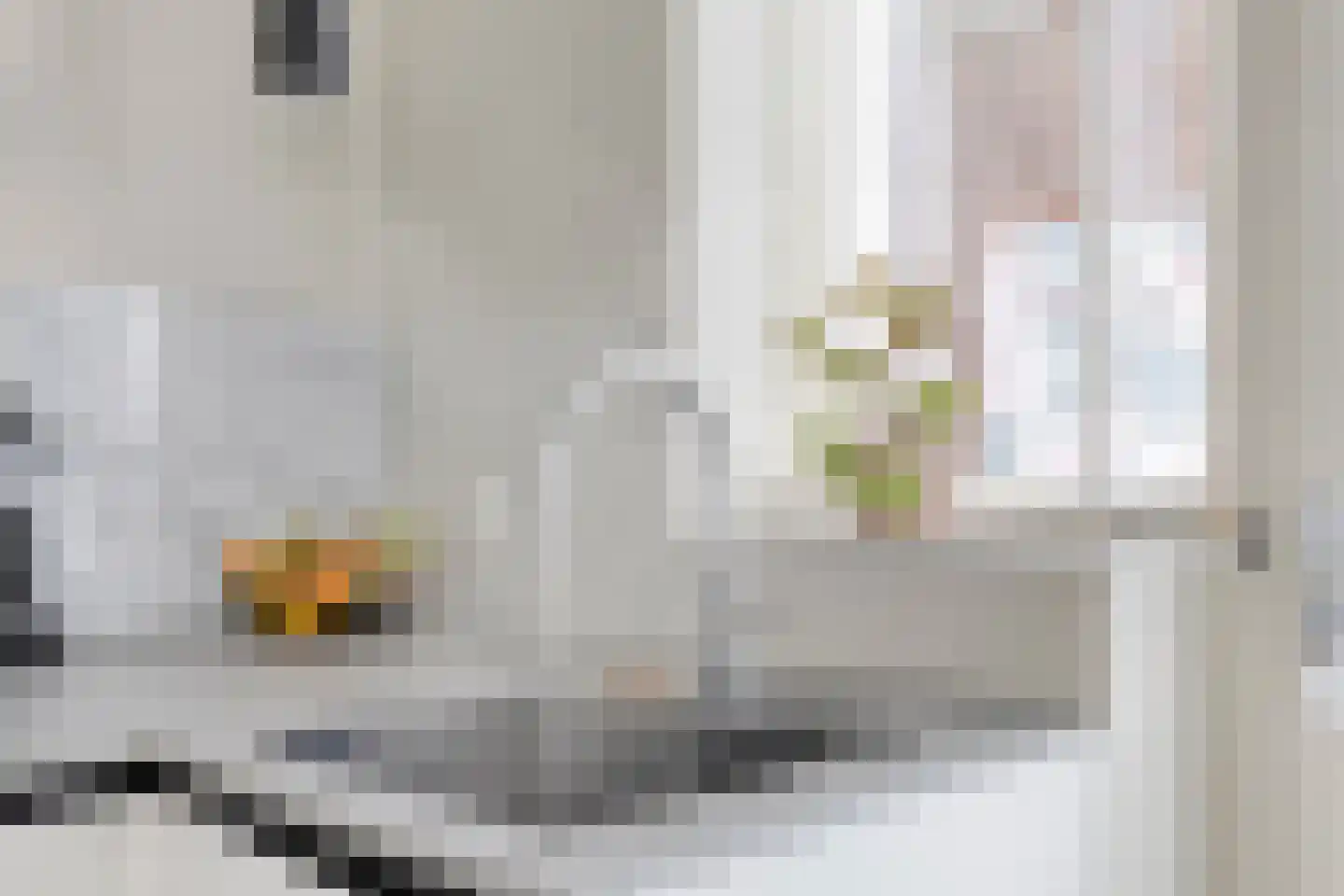Peellandstraat 90 Veghel thumbnail 9