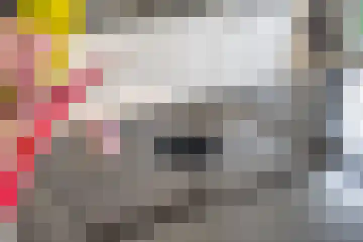 Peelmanserf 12 Helmond thumbnail 17