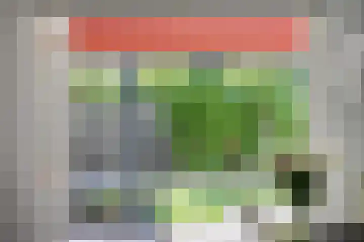 Peelmanserf 12 Helmond thumbnail 18