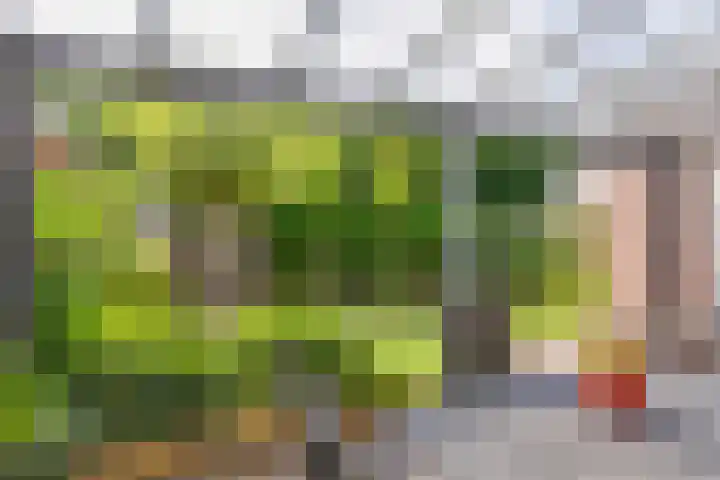 Peelmanserf 12 Helmond thumbnail 31