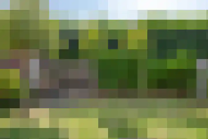 Peelmanserf 12 Helmond thumbnail 33