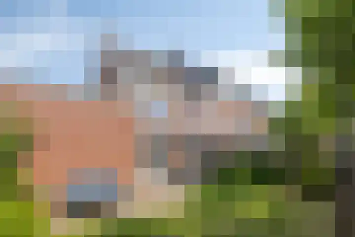 Peelmanserf 12 Helmond thumbnail 34