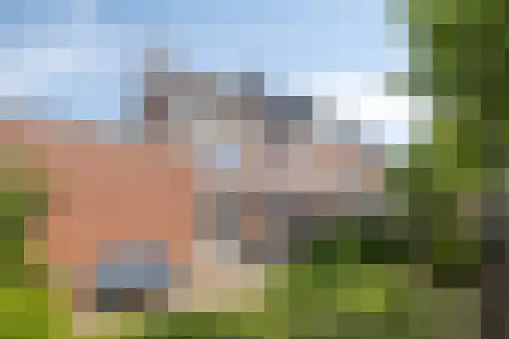 Peelmanserf 12 Helmond thumbnail 6