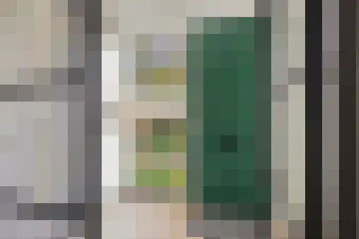 Peelpad 15 Rotterdam thumbnail 11