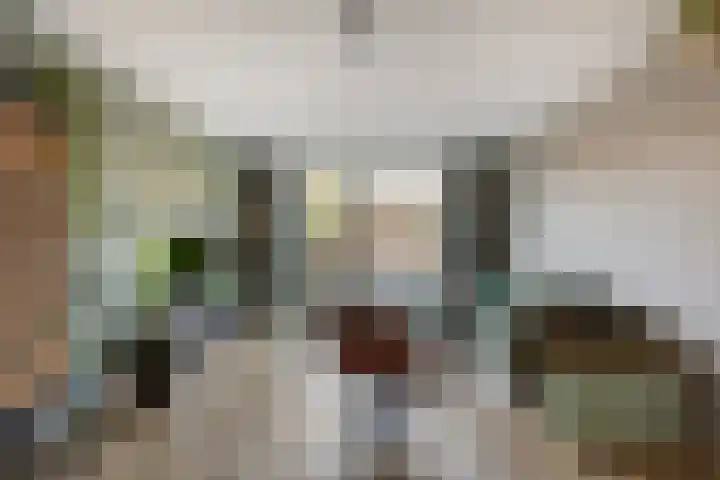 Peelpad 15 Rotterdam thumbnail 16