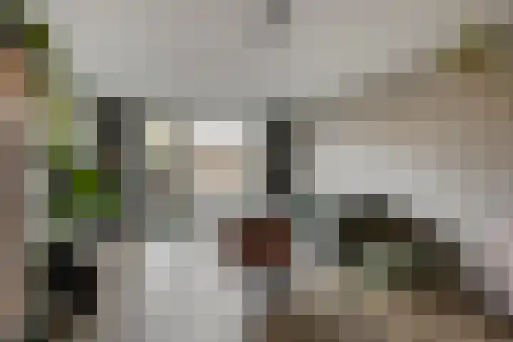 Peelpad 15 Rotterdam thumbnail 17