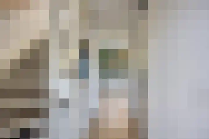 Peelpad 15 Rotterdam thumbnail 18