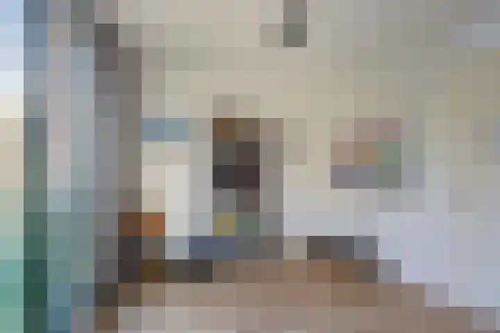Peelpad 15 Rotterdam thumbnail 33