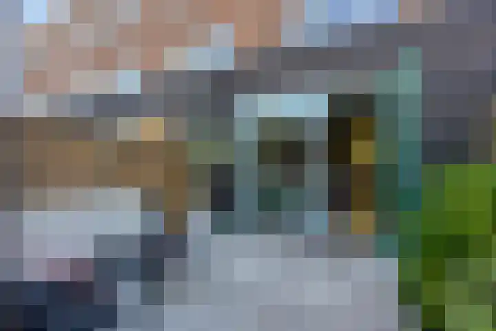 Peelpad 15 Rotterdam thumbnail 35