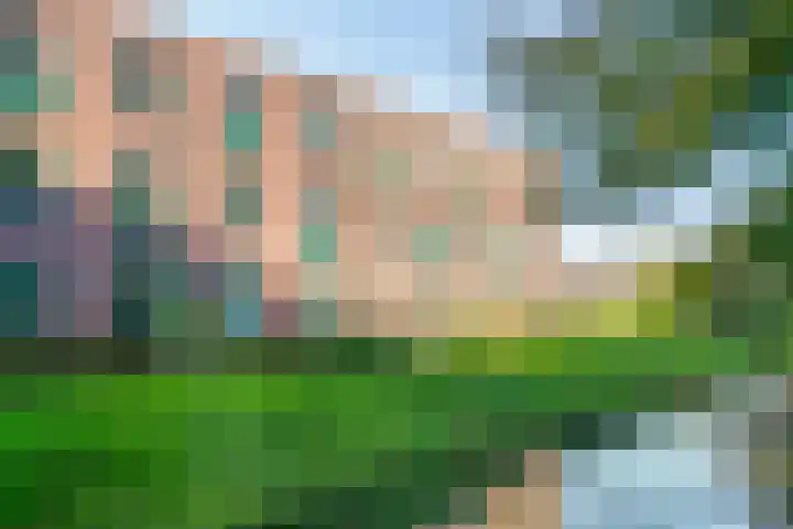 Peelpad 15 Rotterdam thumbnail 36