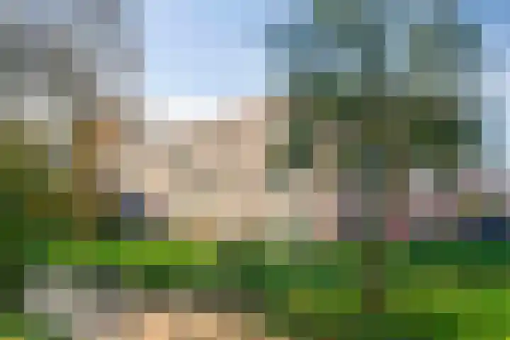 Peelpad 15 Rotterdam thumbnail 37