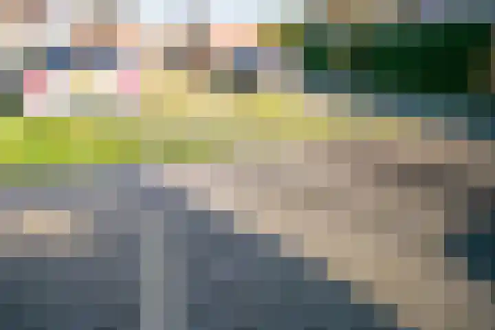 Peelpad 15 Rotterdam thumbnail 38