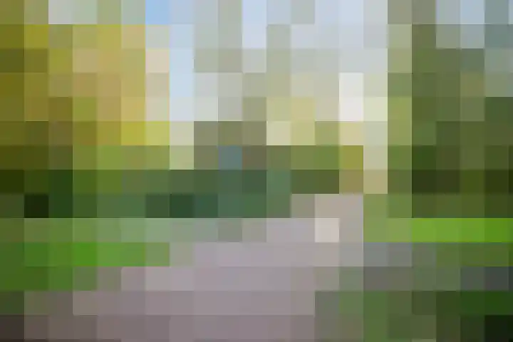 Peelpad 15 Rotterdam thumbnail 40