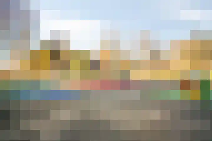 Peelpad 15 Rotterdam thumbnail 42