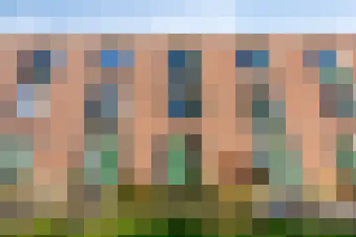 Peelpad 15 Rotterdam thumbnail 6