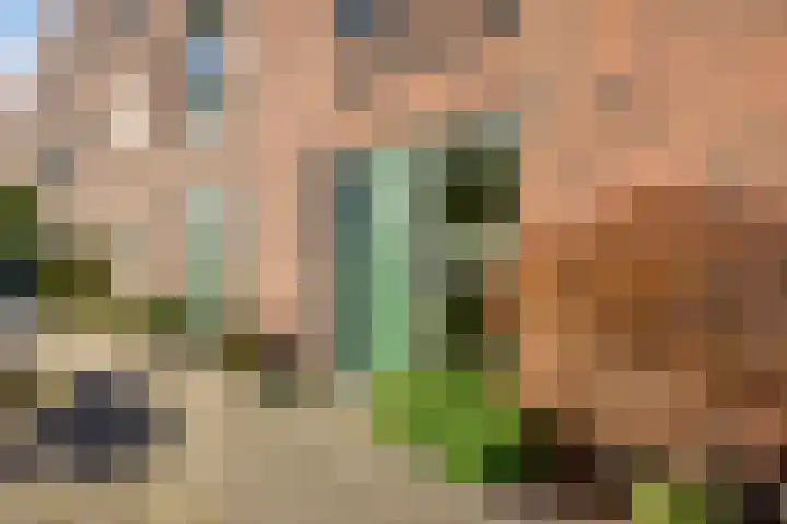 Peelpad 15 Rotterdam thumbnail 7
