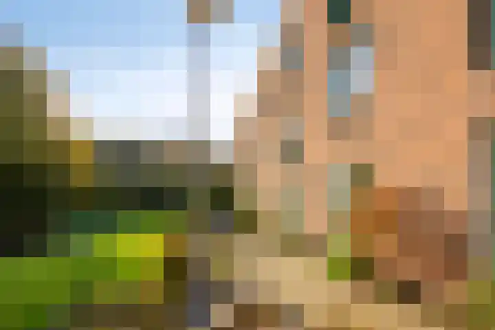 Peelpad 15 Rotterdam thumbnail 8