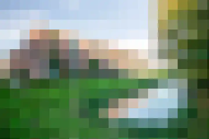 Peelpad 15 Rotterdam thumbnail 9