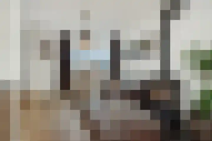Peelrand 23 Deurne thumbnail 10