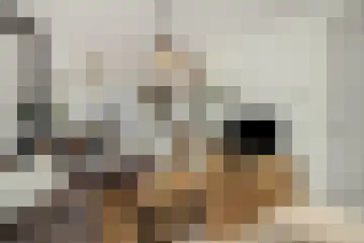Peelrand 23 Deurne thumbnail 12